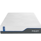 WellFlex 12" Memory Foam Mattress