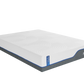 WellFlex 12" Memory Foam Mattress
