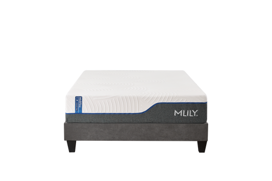 WellFlex 12" Memory Foam Mattress