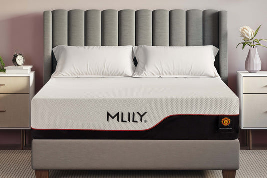 MLILY 12" Dream Memory Foam Mattress