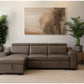 Sectional pull out sofa bed